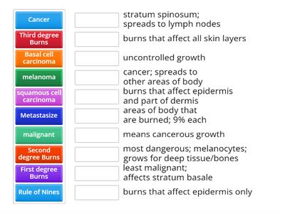 Skin Burns & Cancer Vocabulary