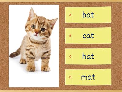 Preschool English - Word Family Quiz
