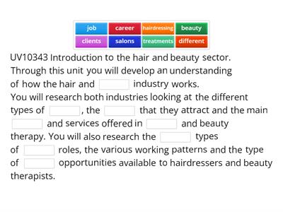 UV10343 Introduction to the hair and beauty sector