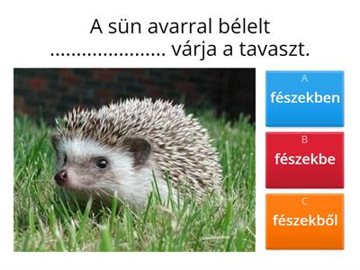 Főnevek helyesírása: -ba, -be, -ban, -ben