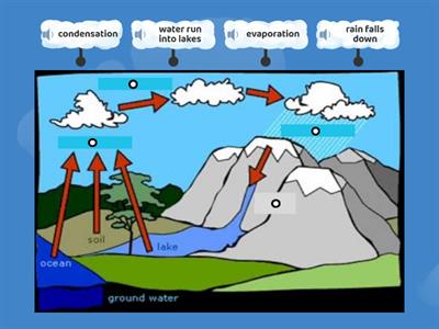 Water Cycle Diagram Year4