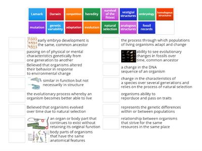 Evolution & Natural Selection Review