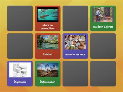 Environment: Matching Pairs - Quiz 