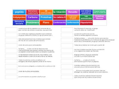 Estructuras de aminoácidos y péptidos