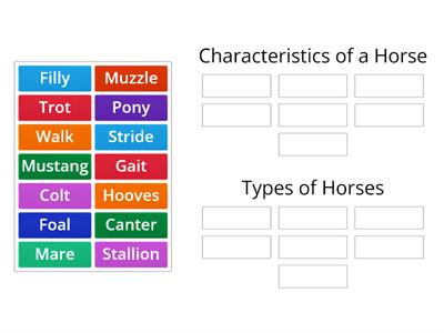 Word Sort Horse Heroes