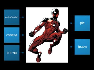 diagrama de spider man escarlata