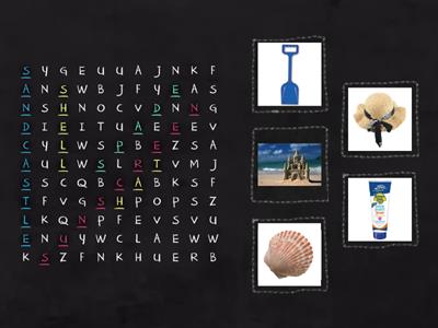 Wordsearch - Year2 (At the beach) 