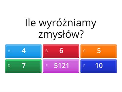 Zmysły