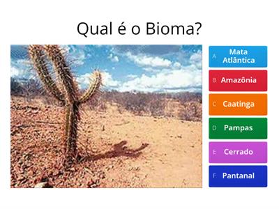Biomas Brasileiros 