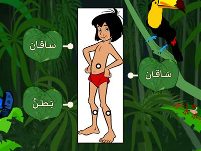 Body Parts 3 - Arabic