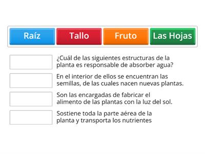 PARTES DE LA PLANTA