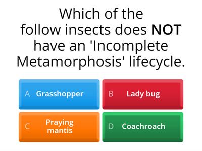 Unit Test Review: Science