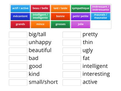 FRENCH adjectives Grade 5