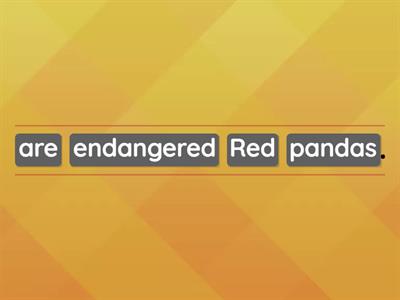 Weird and endangered animals!