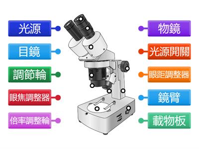 解剖顯微鏡