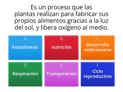 Retroalimentación de Ciencias Naturales 