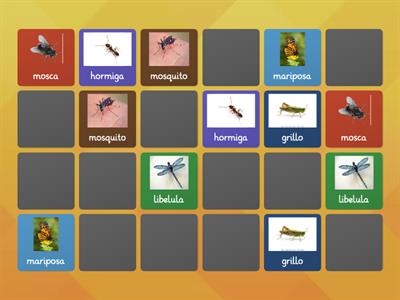 Insectos - Memory game 