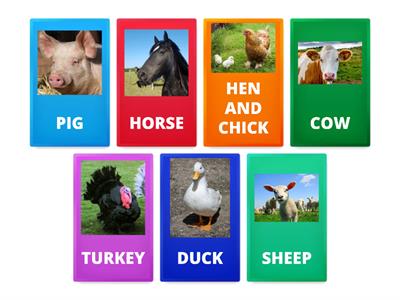 FARM ANIMALS - SAY THEIR NAMES - PREP 1