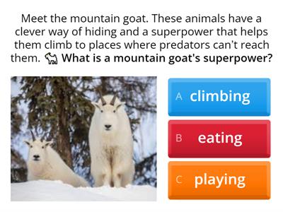 Mountain Goats on the Edge (Comprehension)