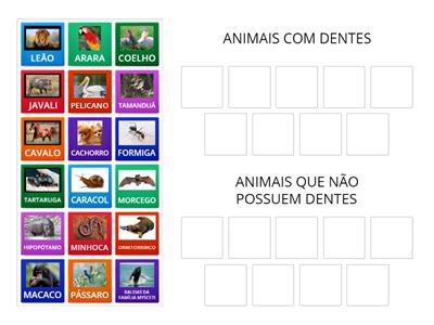 ANIMAIS COM E SEM DENTES