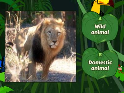 wild animals and domestic animals class 1