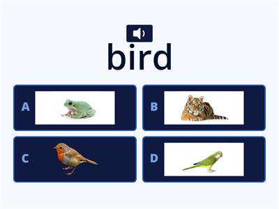 Animals (Quiz)