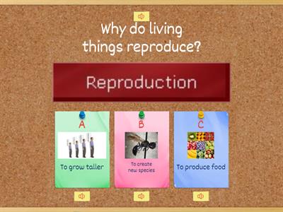 Diversity and Classification:Reproduction in Living Things