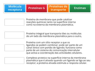 Membrana Plasmática 6