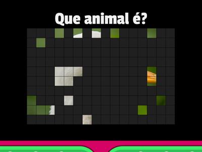 Animais da Quinta - Quiz de Imagem