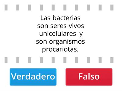 Virus y bacterias 