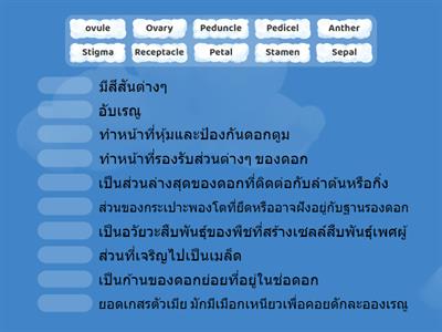 โครงสร้างของพืชดอก ม.5