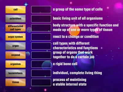 Science 6 B Unit 5 Body Systems