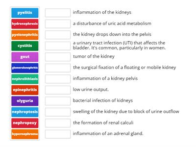 urinary disorders