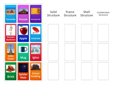 Structural Forms Activity