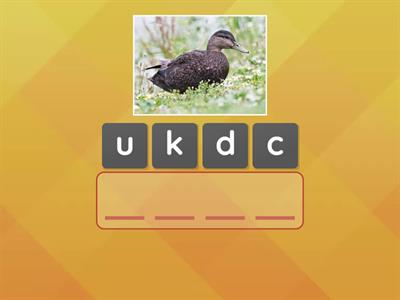 Revision - Unit 11 - Build the word using the picture clue