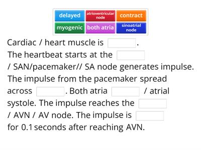 Describe the mechanism of heart beat in mammals.