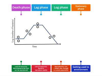 Bacteria growth curve