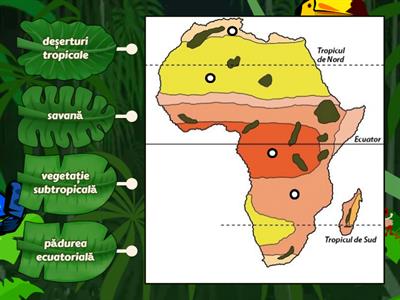 Localizează pe hartă zonele biogeografice (tipurile de peisaje) din Africa: