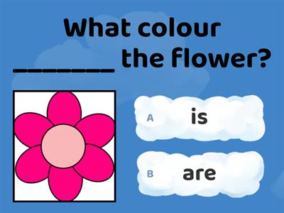 What colour is / are the ____ ?