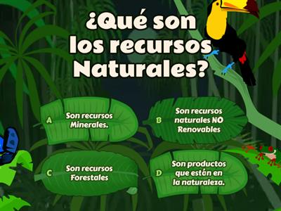  6-5 Prueba Recursos Naturales de América