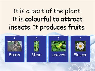 FUNCTIONS of the PARTS OF THE PLANT