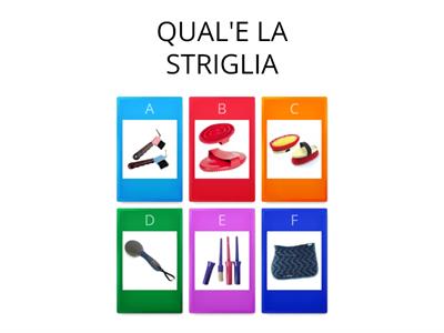 QUIZ EQUITAZIONE (LIVELLO PRINCIPIANTE)