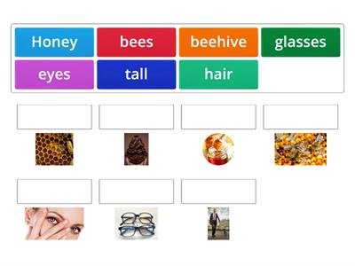  match  the right word with the correct pic 