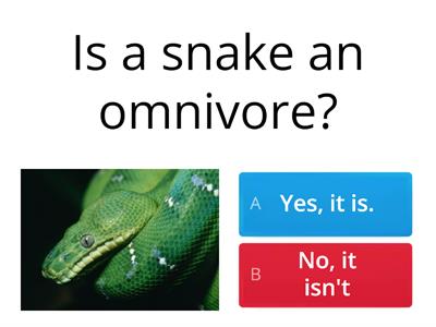 Is it a....? (carnivore - herbivore - omnivore)