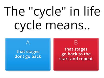 Life cycle