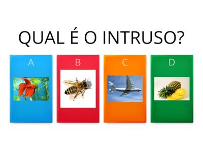 QUAL É O INTRUSO?