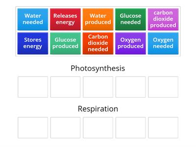 S7 Photosynthesis vs. Cellular Respiration