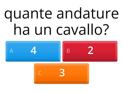 equitazione