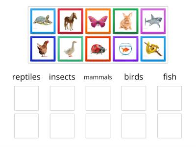 I Wonder 2.2 Animal groups easy