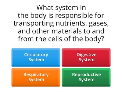 Circulatory System